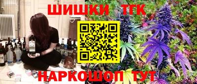 spice Камышлов