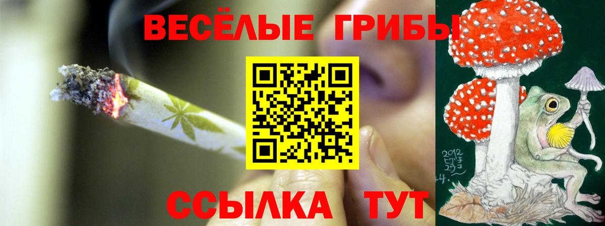 Галлюциногенные грибы GOLDEN TEACHER  Вход с VPN  Лабинск 